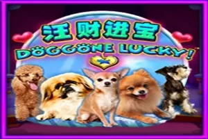 Doggone Lucky!